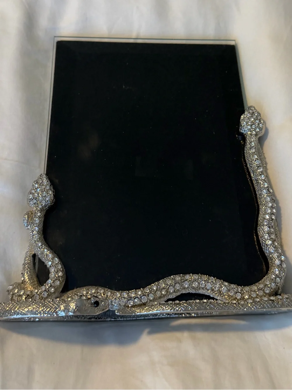 Z Gallerie Silver Rhinestone Snake Frame
